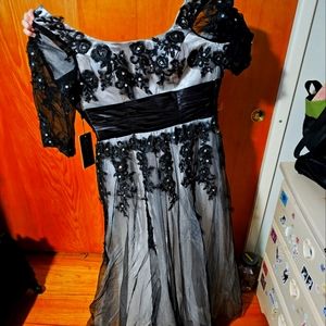 Fancy black lace over white sateen dress